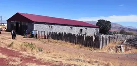 Malatya'da besicilere 2 bin 932 damızlık büyükbaş hayvan verilecek
