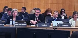 OECD Kurumsal Yönetim Komitesi Toplantısı Paris'te gerçekleştirildi