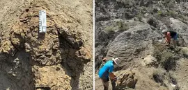 One Giant Step: First Known T Rex Footprints Found In North Dakota