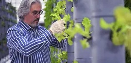 Topraksız dikey tarım uygulamaları enerjide tasarruf ve yüksek verimlilikle geleceğe umut oluyor