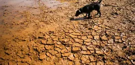 What Is El Niño, What Causes It and Can We Reduce the Risks?