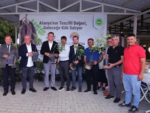 "Alanya keçiboynuzu" coğrafi işaretle tescillendi