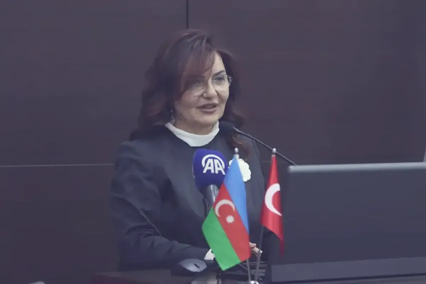 Adana'da Azerbaycan'daki iş ve yatırım fırsatları anlatıldı