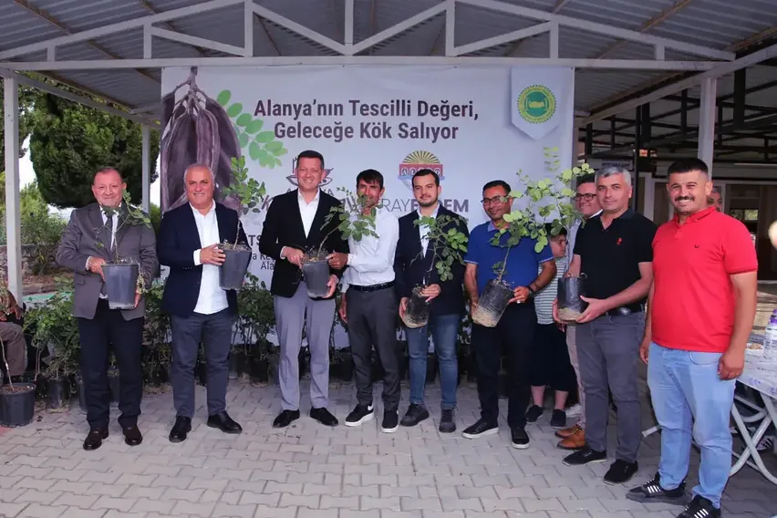 "Alanya keçiboynuzu" coğrafi işaretle tescillendi "Alanya keçiboynuzu" coğrafi işaretle tescillendi