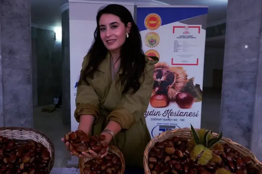 Aydın'da sezonun ilk kestaneleri 550 liradan satıldı Aydın'da sezonun ilk kestaneleri 550 liradan satıldı