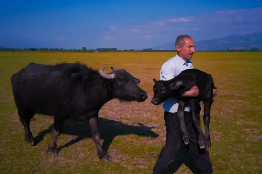 Huawei XMAGE 2025'te Türk fotoğrafçı dünya ikincisi oldu