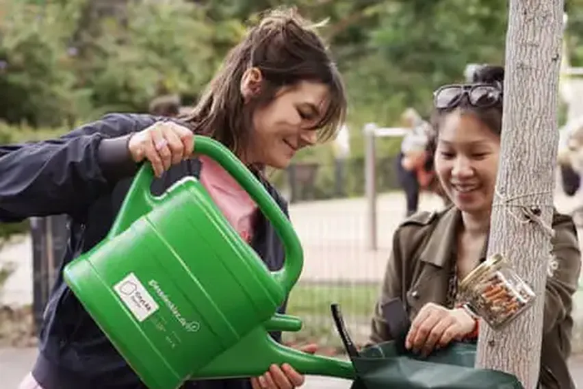 ‘Like Caring for a Pet’: The Open-Source Tree Map Inspiring Berliners to Water Their Urban Forest