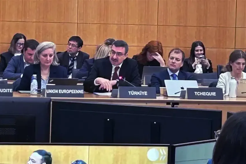 OECD Kurumsal Yönetim Komitesi Toplantısı Paris'te gerçekleştirildi