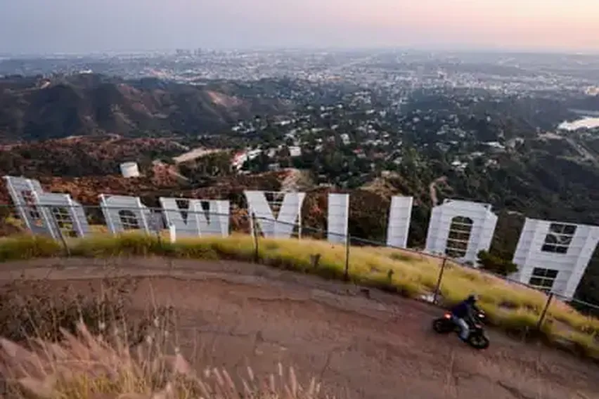 Snakes, Bobcats, Mountain Lions: The Secret Animal World Beneath the Hollywood Sign