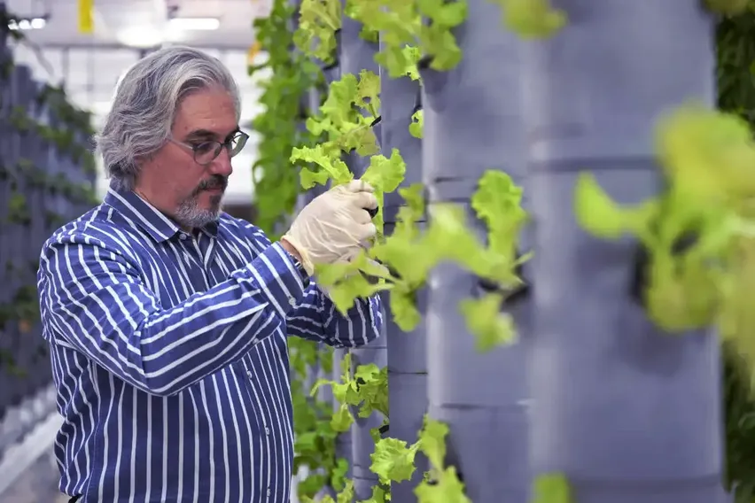 Topraksız dikey tarım uygulamaları enerjide tasarruf ve yüksek verimlilikle geleceğe umut oluyor