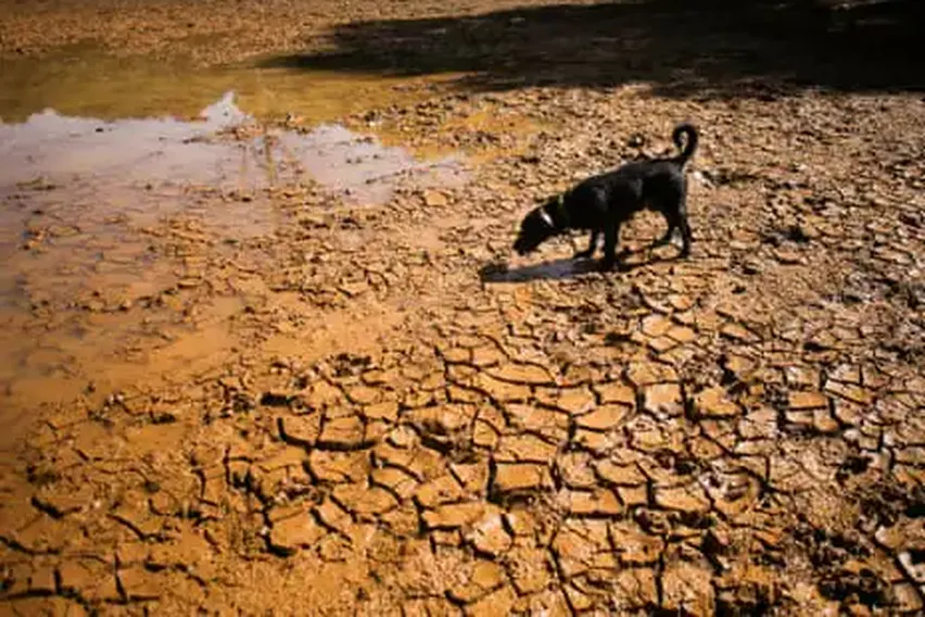 What Is El Niño, What Causes It and Can We Reduce the Risks?
